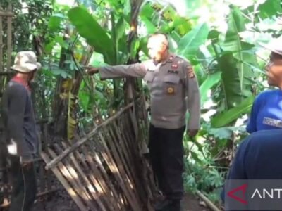 Suara Bising Tengah Malam Gegerkan Warga Bekasi, 5 Kambing Tewas Misterius