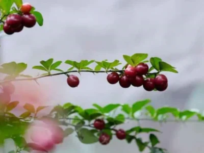 Wisata Visual Jadi Daya Tarik Baru Gen Z ke Destinasi Bekasi