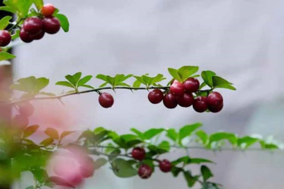 Wisata Visual Jadi Daya Tarik Baru Gen Z ke Destinasi Bekasi